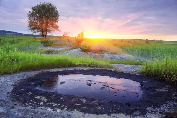 Ukraine
